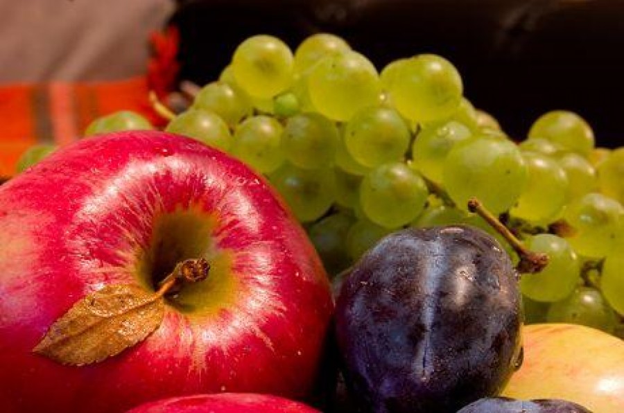 Sprijin financiar producătorilor de fructe şi struguri